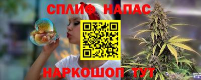 бошки Тара