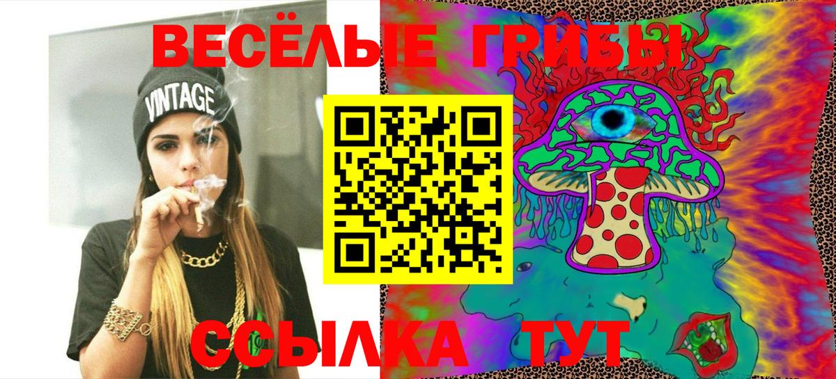 Псилоцибиновые грибы GOLDEN TEACHER  Галлюциногенные грибы Magic Shrooms  Вход с VPN  Асбест 