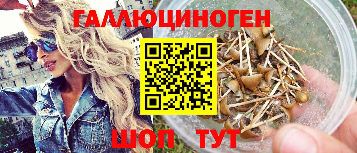 Галлюциногенные грибы Psilocybe Асбест